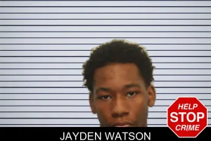 Jayden Watson mugshot