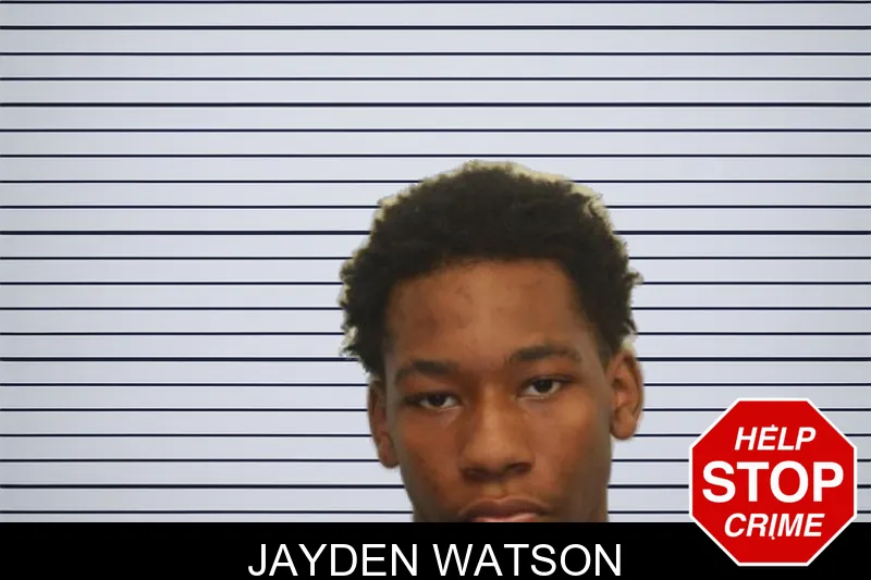 Jayden Watson mugshot
