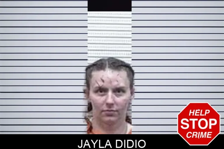 Jayla Didio mugshot – Tattnall County , Georgia Jayla Didio