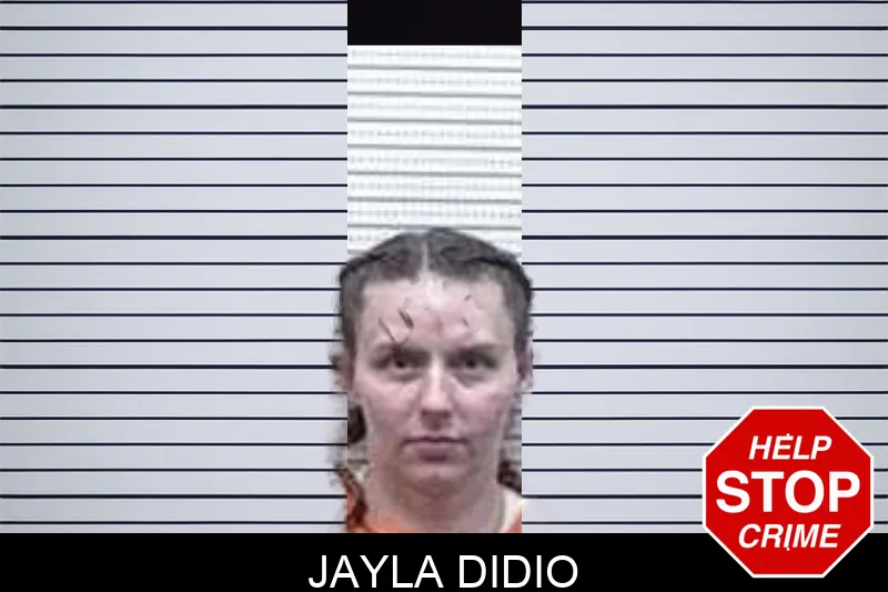 Jayla Didio mugshot