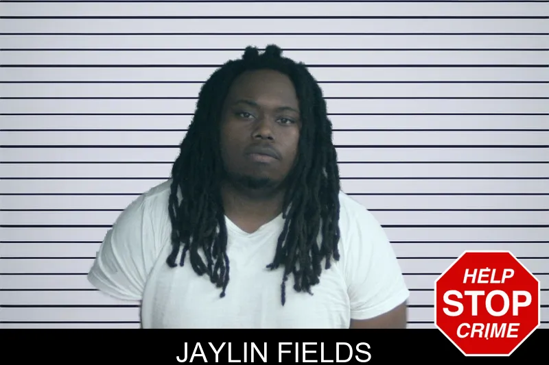 Jaylin Fields mugshot – Twiggs County , Georgia Jaylin Fields mugshot