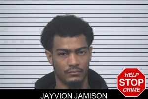 Jayvion Jamison mugshot
