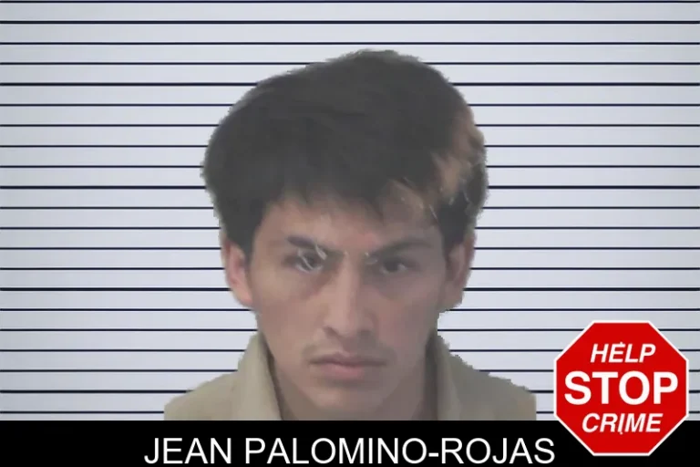 Jean Palomino-Rojas
