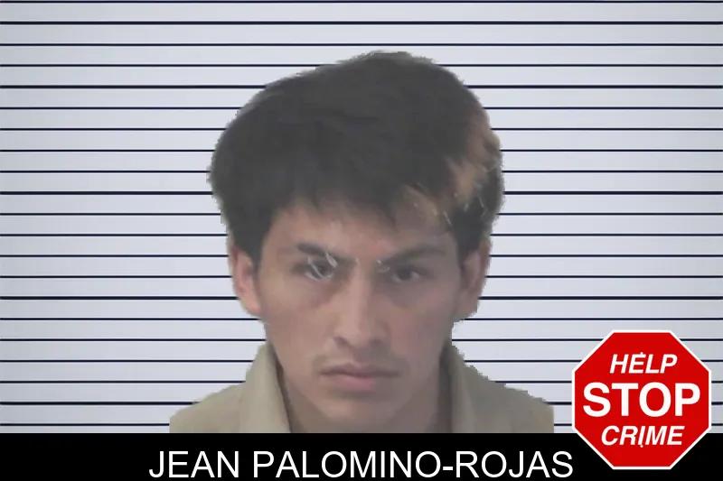 Jean Palomino-Rojas mugshot
