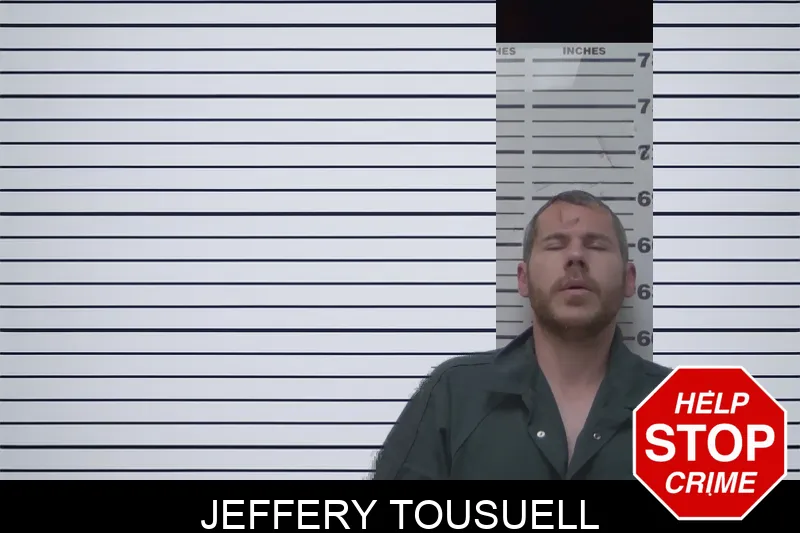 Jeffery Tousuell mugshot