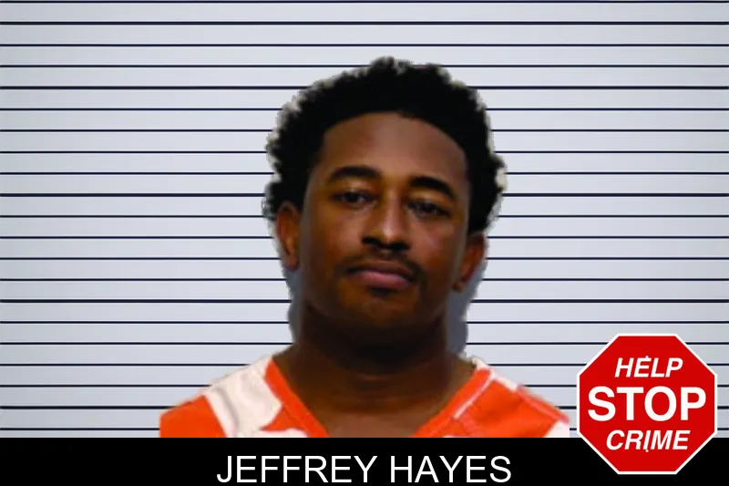Jeffrey Hayes mugshot