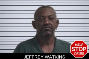 Jeffrey Watkins mugshot