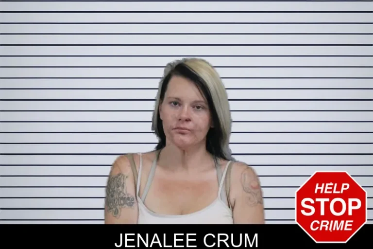 Jenalee Crum mugshot – Catoosa County , Georgia Jenalee Crum
