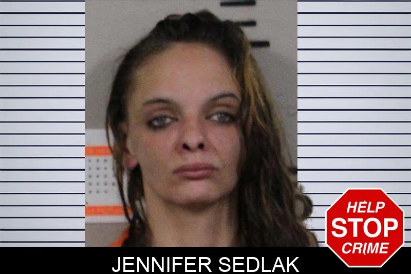 Jennifer Sedlak mugshot – Lamar County , Georgia Jennifer Sedlak mugshot