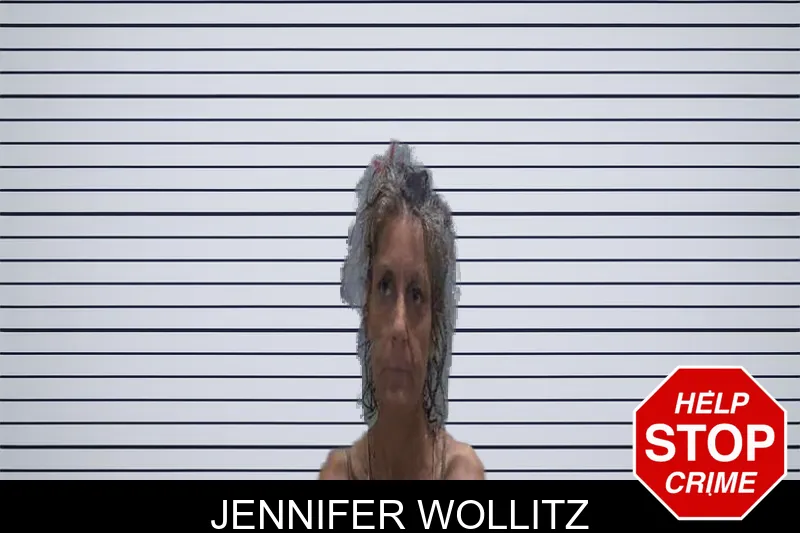 Jennifer Wollitz mugshot