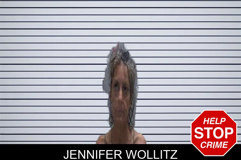 Jennifer Wollitz mugshot