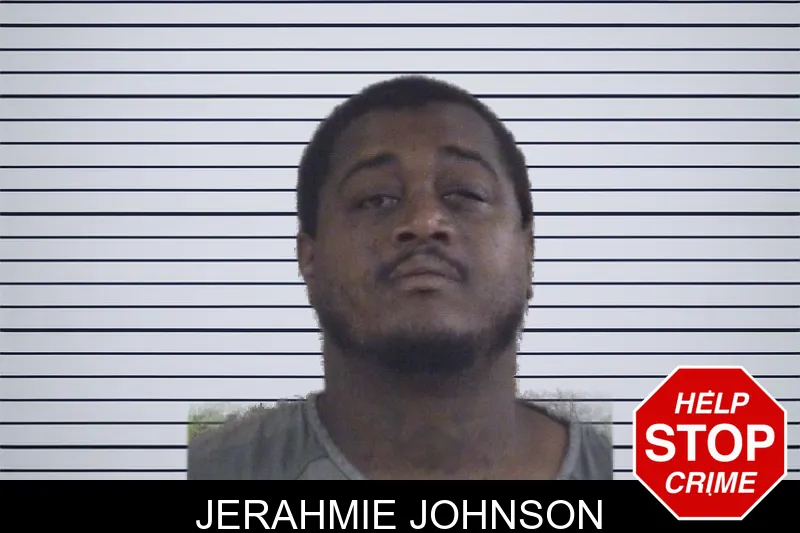 Jerahmie Johnson mugshot