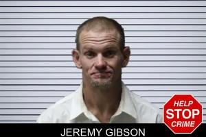 Jeremy Gibson mugshot