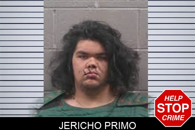 Jericho Primo mugshot