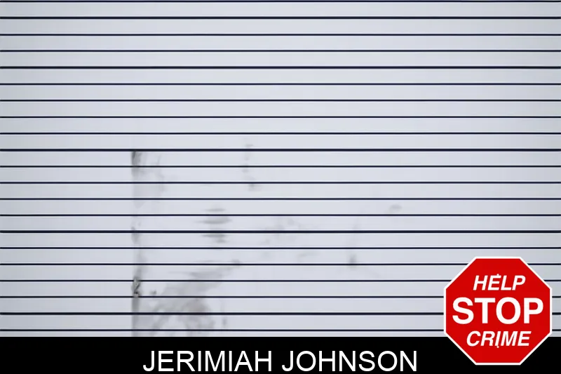 Jerimiah Johnson mugshot