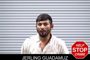 Jerling Guadamuz mugshot