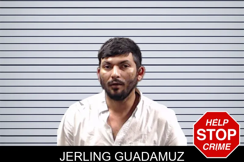 Jerling Guadamuz mugshot