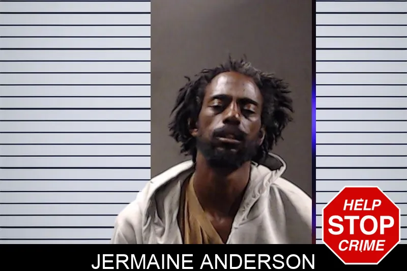 Jermaine Anderson mugshot