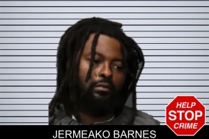 Jermeako Barnes mugshot