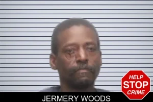 Jermery Woods mugshot