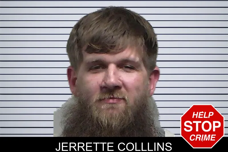 Jerrette Colllins mugshot