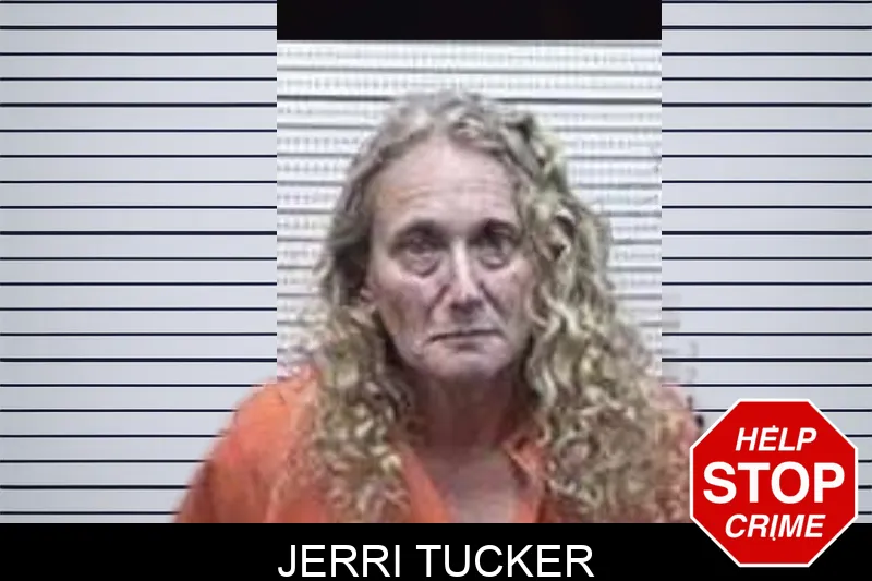Jerri Tucker mugshot – Tattnall County , Georgia Jerri Tucker mugshot