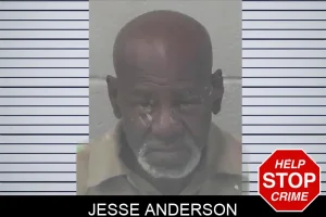 Jesse Anderson mugshot