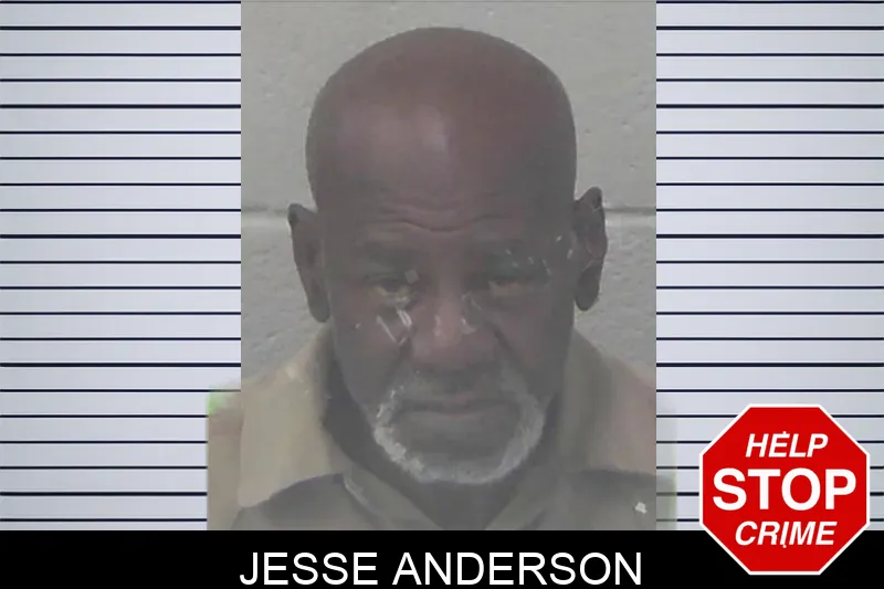 Jesse Anderson mugshot