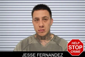 Jesse Fernandez mugshot