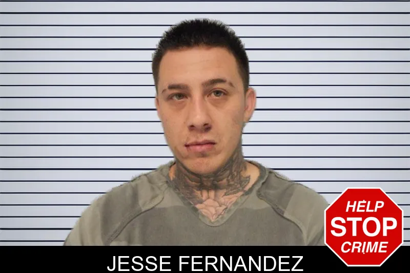 Jesse Fernandez mugshot