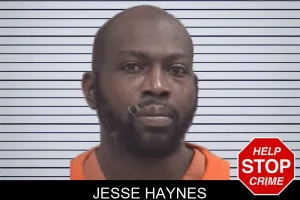 Jesse Haynes mugshot