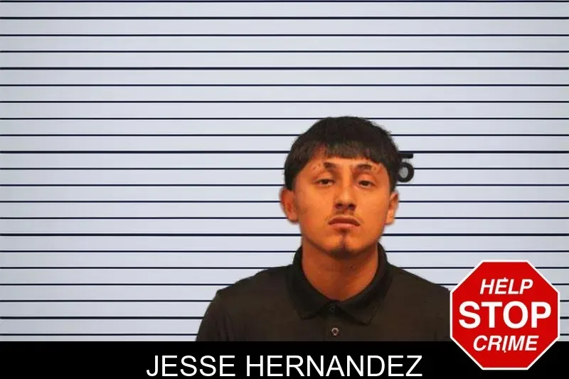 Jesse Hernandez mugshot