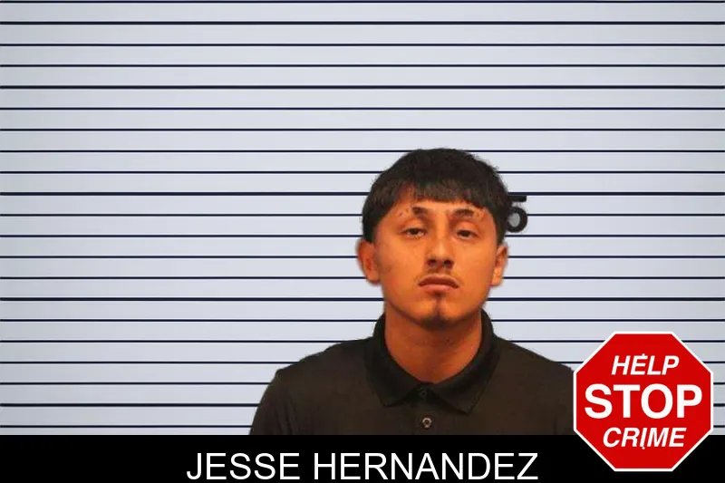 Jesse Hernandez mugshot