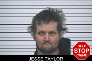 Jesse Taylor mugshot