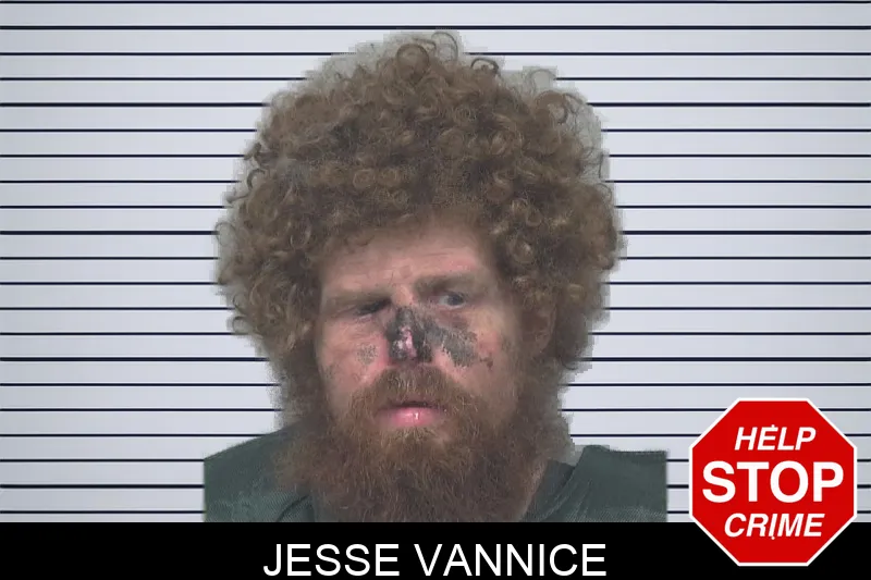 Jesse Vannice mugshot