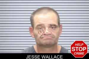 Jesse Wallace mugshot