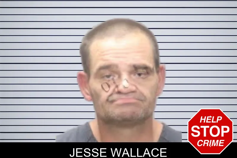 Jesse Wallace mugshot