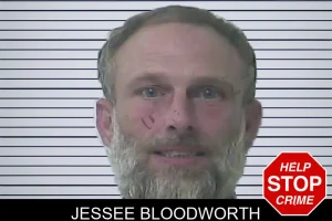 Jessee Bloodworth mugshot
