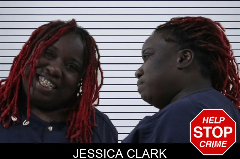 Jessica Clark mugshot