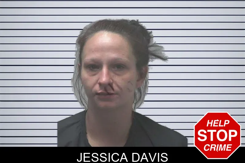 Jessica Davis mugshot – Coweta County , Georgia Jessica Davis mugshot