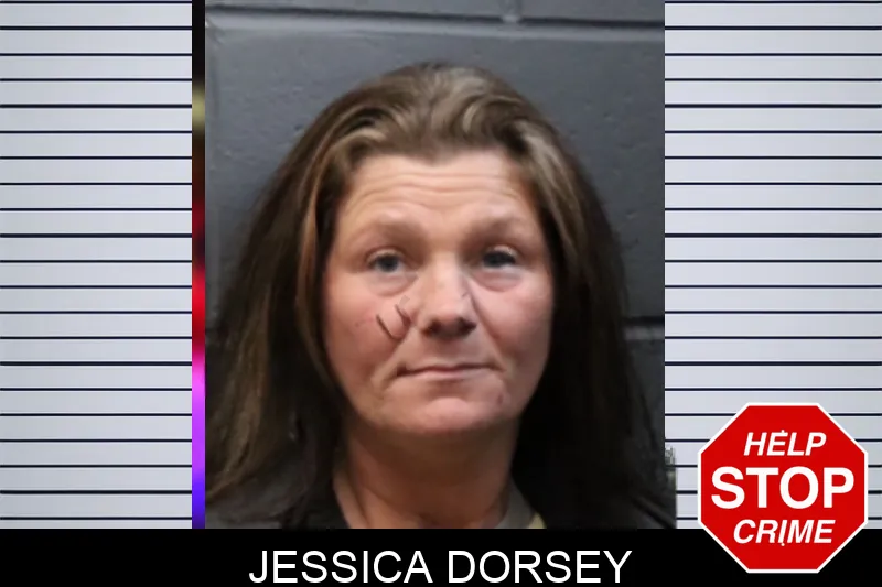 Jessica Dorsey mugshot
