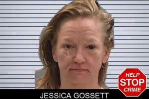 Jessica Gossett mugshot