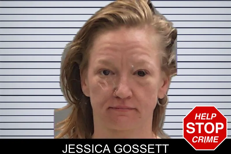 Jessica Gossett mugshot