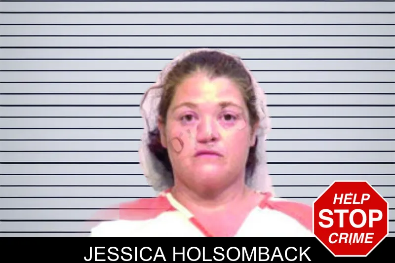 Jessica Holsomback mugshot – Bartow County , Georgia Jessica Holsomback mugshot