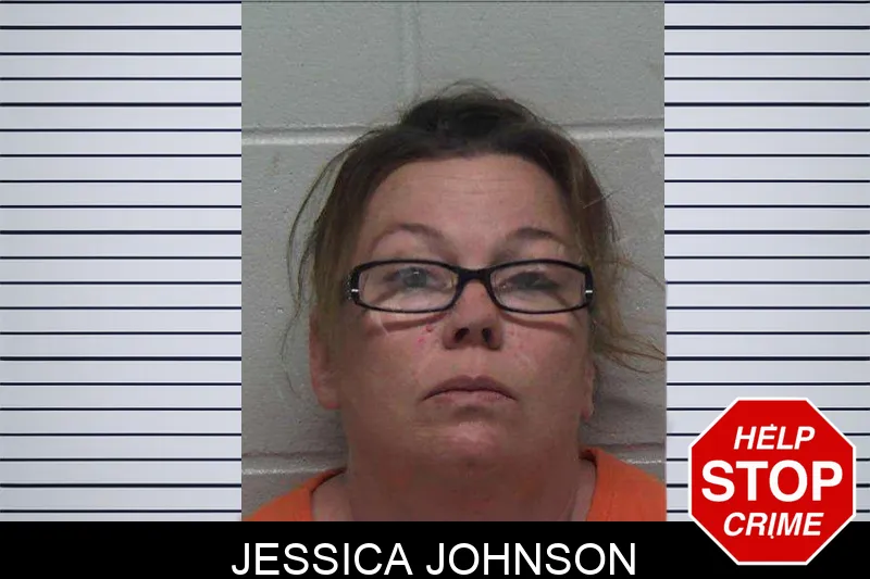 Jessica Johnson mugshot