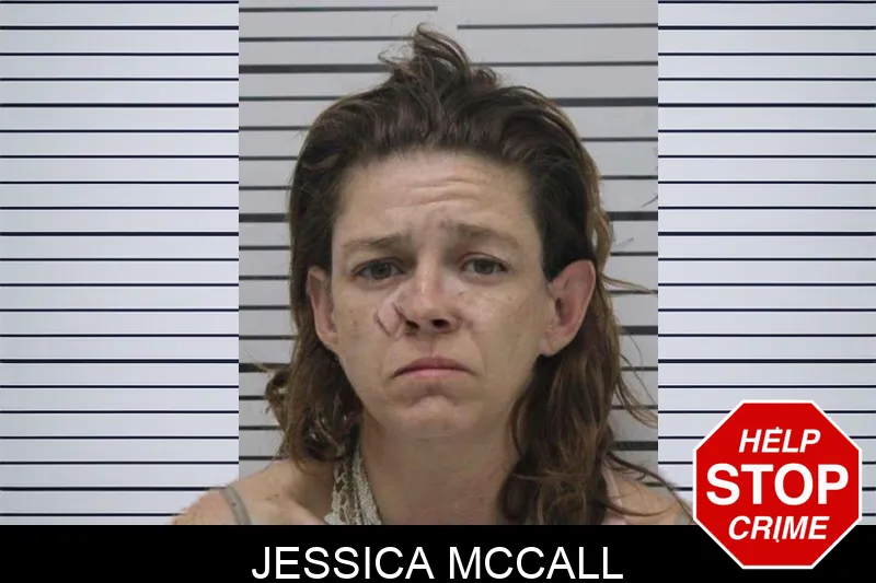 Jessica McCall mugshot