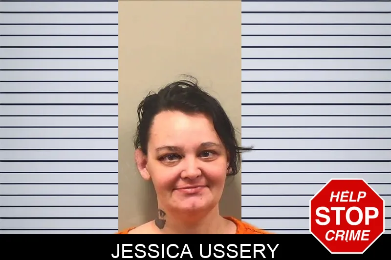 Jessica Ussery mugshot – Bleckley County , Georgia Jessica Ussery mugshot