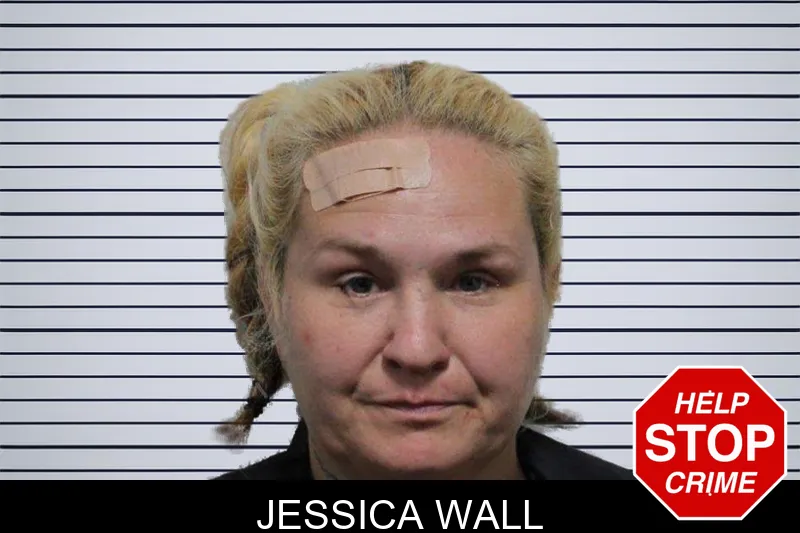 Jessica Wall mugshot