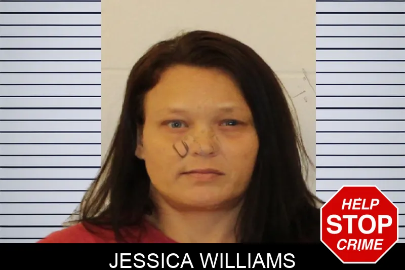 Jessica Williams mugshot