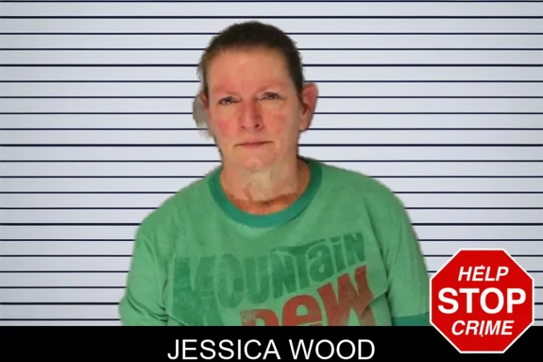 Jessica Wood mugshot – Hall County , Georgia Jessica Wood